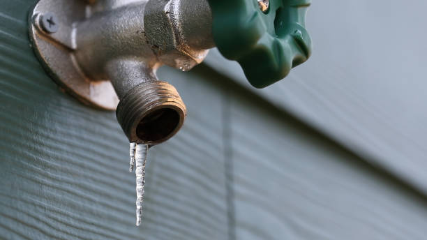 Best Plumbing Services Near Me  in Sharon, TN